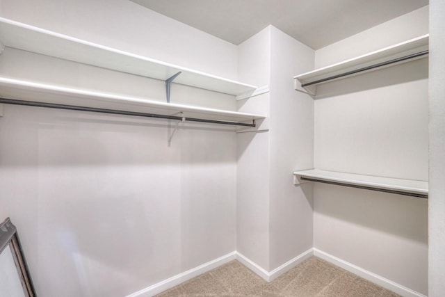 265 Stanley Park Ln, Franklin, TN 37069 - walk in closet featuring carpet