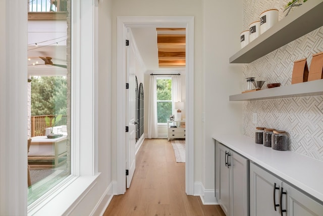 3005 Littlebury Park Dr, Thompsons Station, TN 37179 - corridor with light wood-style flooring and baseboards