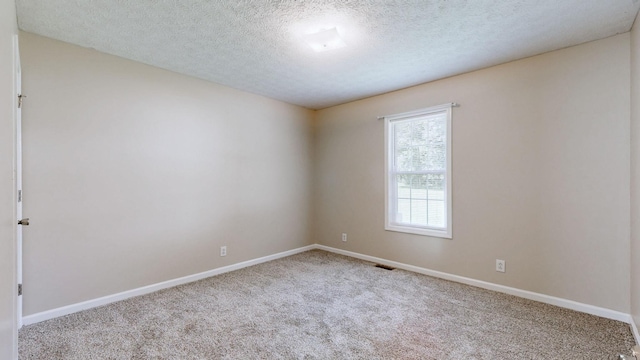 1726 Old Clarksville Pike, Chapmansboro, TN 37035 - spare room with carpet floors and a textured ceiling
