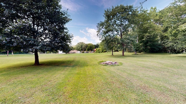 1726 Old Clarksville Pike, Chapmansboro, TN 37035 - view of green lawn