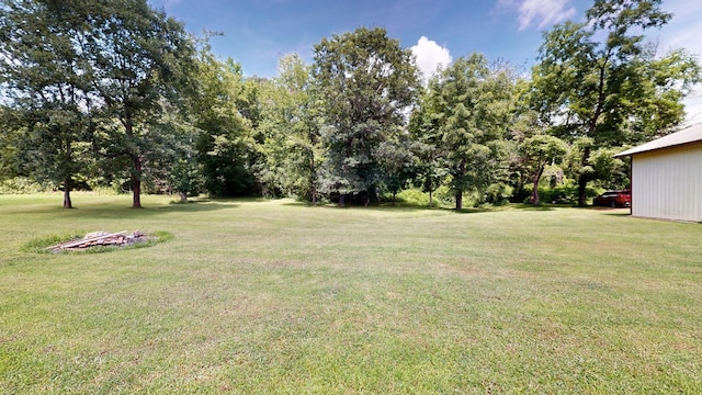 1726 Old Clarksville Pike, Chapmansboro, TN 37035 - view of grassy yard
