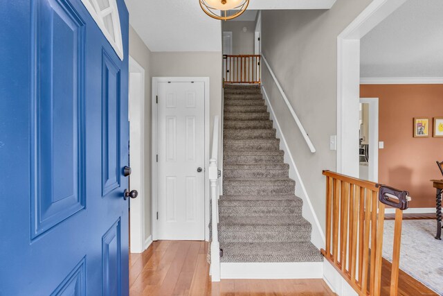 1031 Hillshire Dr, Clarksville, TN 37043 - photo 8