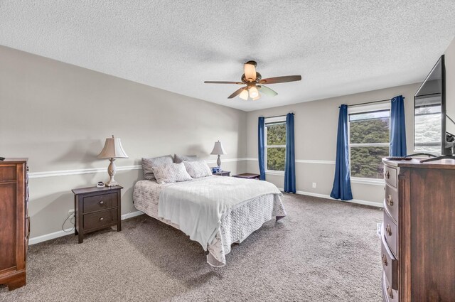 1031 Hillshire Dr, Clarksville, TN 37043 - photo 27