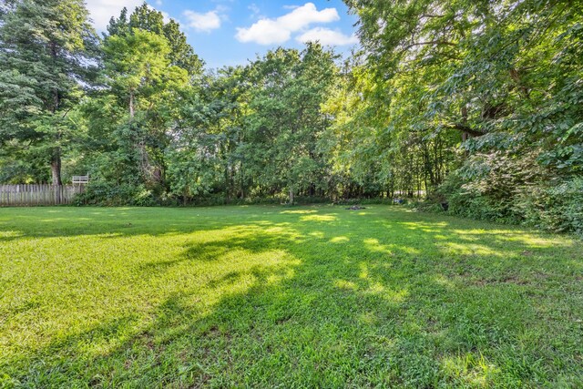 1031 Hillshire Dr, Clarksville, TN 37043 - photo 41
