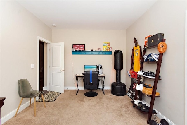 3028 Honeysuckle Dr, Spring Hill, TN 37174 - misc room with carpet flooring and baseboards