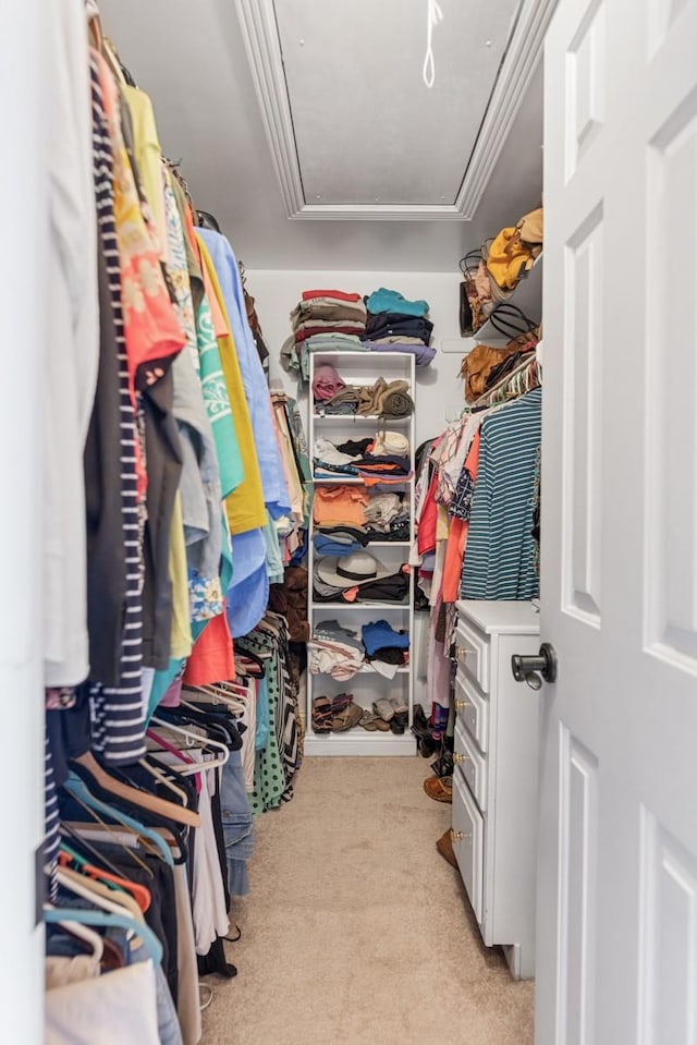 2208 Chadwick Ct, Mount Juliet, TN 37122 - spacious closet with light colored carpet and attic access