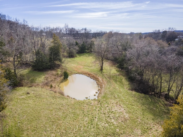 0 Culleoka Hwy, Culleoka, TN 38451