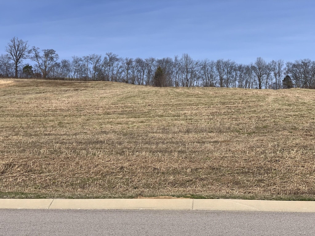0 Nashville Hwy, Columbia, TN 38401 - photo 1