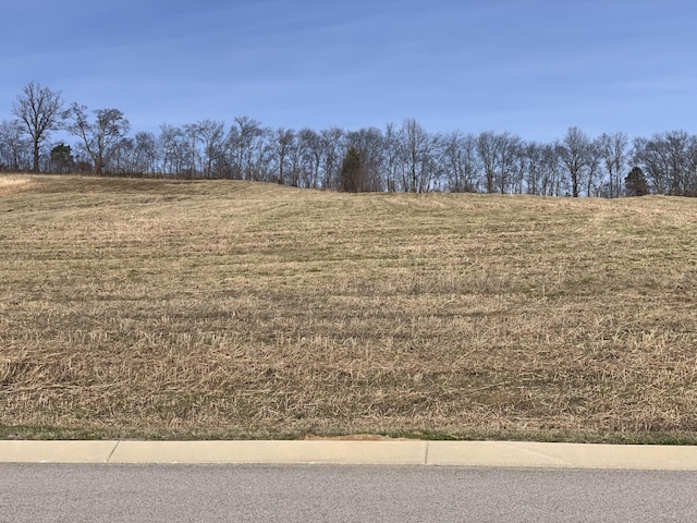 0 Nashville Hwy, Columbia, TN 38401