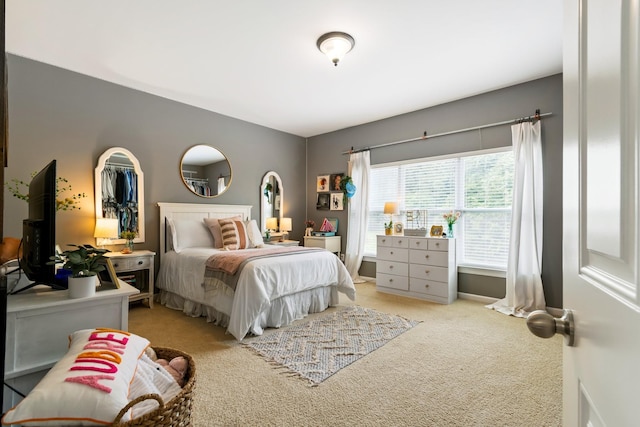 368 Pennystone Cir, Franklin, TN 37067 - bedroom featuring light colored carpet