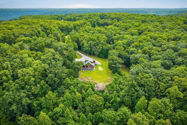 281 Ripley Rd, Sparta, TN 38583 - photo 61