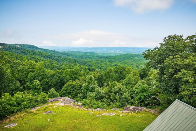 281 Ripley Rd, Sparta, TN 38583 - photo 62