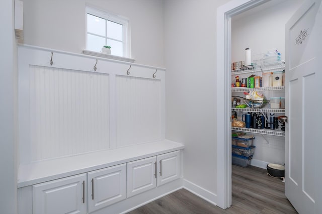 1401 Kennebec Dr, Smyrna, TN 37167 - mudroom featuring dark wood-type flooring and baseboards