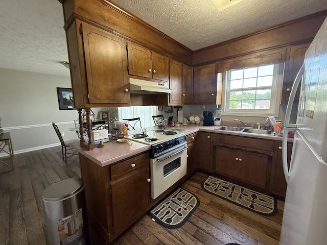 242 Kay Cir, Lafayette, TN 37083 - kitchen with white appliances, under cabinet range hood, a textured ceiling, dark wood-type flooring, and light countertops