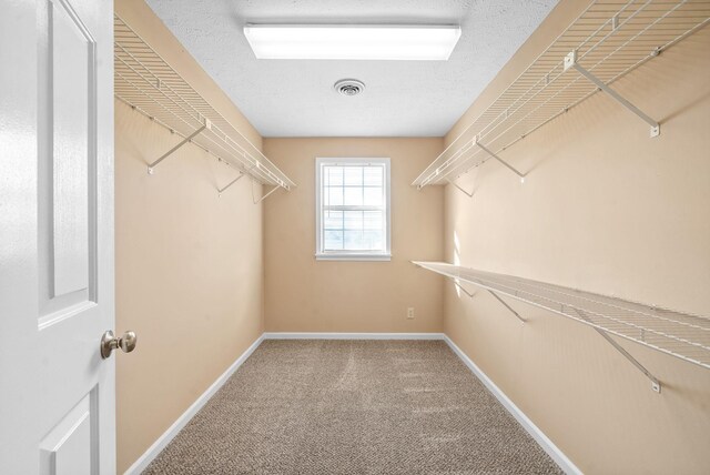 1647 Baltimore Dr, Clarksville, TN 37043 - photo 22