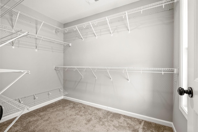 403 Barry Dr, Clarksville, TN 37040 - photo 26
