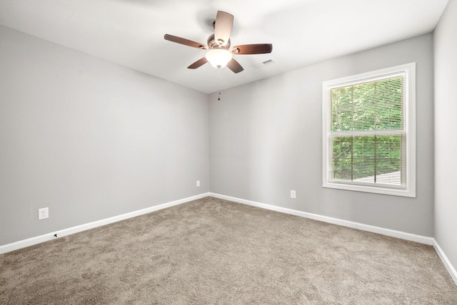 403 Barry Dr, Clarksville, TN 37040 - photo 33
