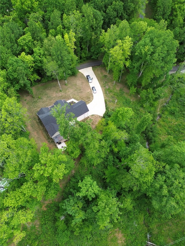514 Doy Rd E, White Bluff, TN 37187 - bird's eye view