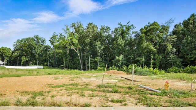 532 Canyon View Ct, Clarksville, TN 37040 - photo 40
