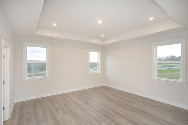 3294 Camden Ct, Mount Juliet, TN 37122 - unfurnished room featuring a raised ceiling, light wood finished floors, and recessed lighting
