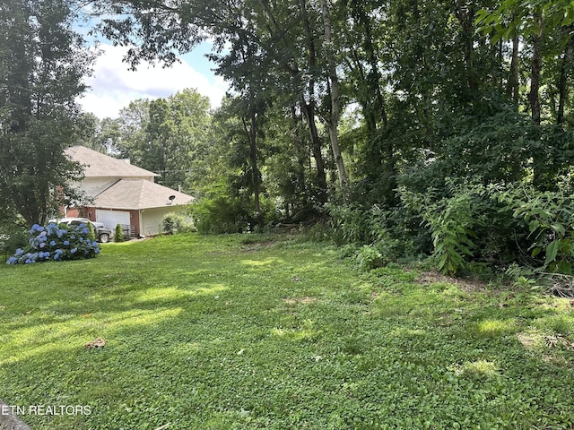 7925 Widdecomb Rd, Powell, TN 37849 - photo 4