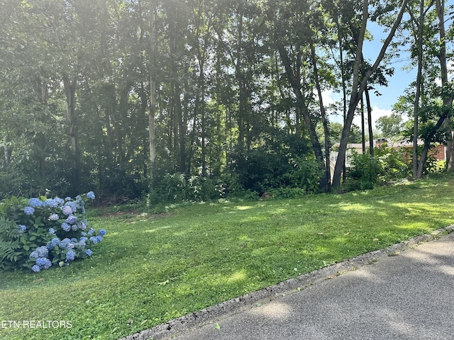 7925 Widdecomb Rd, Powell, TN 37849 - photo 5