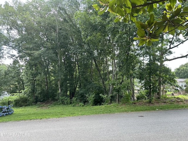 7925 Widdecomb Rd, Powell, TN 37849 - photo 2