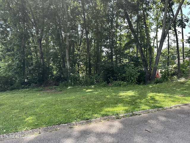 7925 Widdecomb Rd, Powell, TN 37849 - photo 6