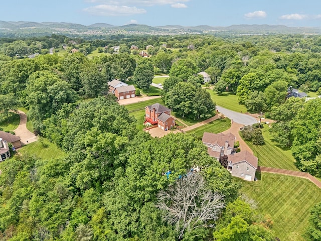 410 Ridge View Ct, Franklin, TN 37067 - view of property location with mountains