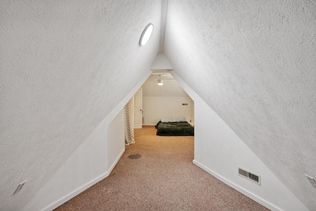 3448 Mahlon Moore Rd, Spring Hill, TN 37174 - additional living space featuring vaulted ceiling, carpet floors, and a textured ceiling