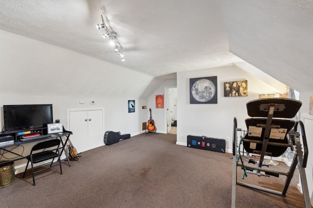 3448 Mahlon Moore Rd, Spring Hill, TN 37174 - home office with vaulted ceiling and carpet floors