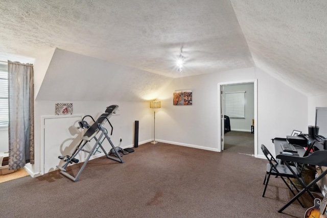 3448 Mahlon Moore Rd, Spring Hill, TN 37174 - exercise area with a textured ceiling, lofted ceiling, and dark colored carpet