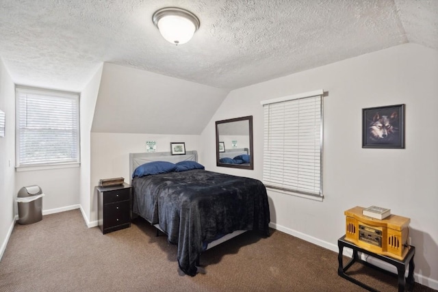 3448 Mahlon Moore Rd, Spring Hill, TN 37174 - carpeted bedroom with lofted ceiling and a textured ceiling