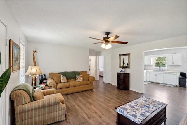 3448 Mahlon Moore Rd, Spring Hill, TN 37174 - living area with wood finished floors, ceiling fan, and a textured ceiling
