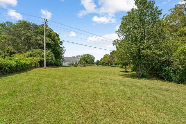 3448 Mahlon Moore Rd, Spring Hill, TN 37174 - view of green lawn