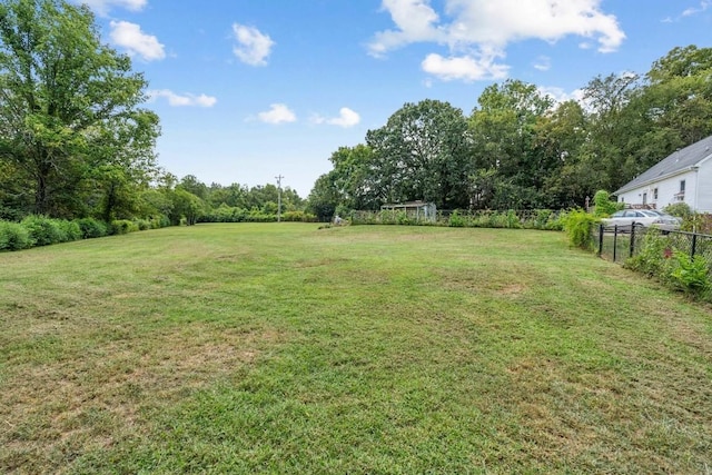 3448 Mahlon Moore Rd, Spring Hill, TN 37174 - view of yard