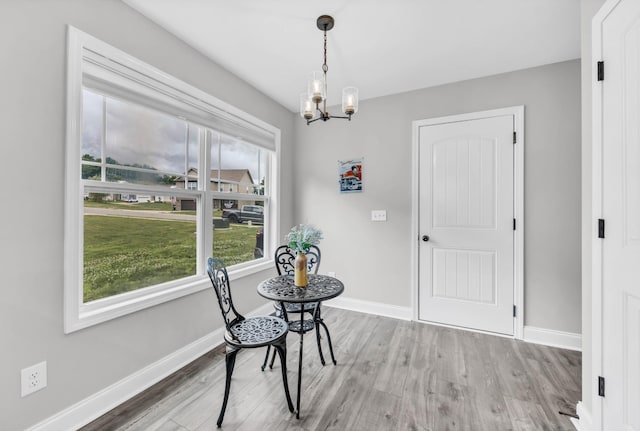 541 Macy Lynn Dr, Clarksville, TN 37042 - dining area featuring wood finished floors and a chandelier