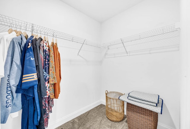 541 Macy Lynn Dr, Clarksville, TN 37042 - walk in closet featuring carpet flooring