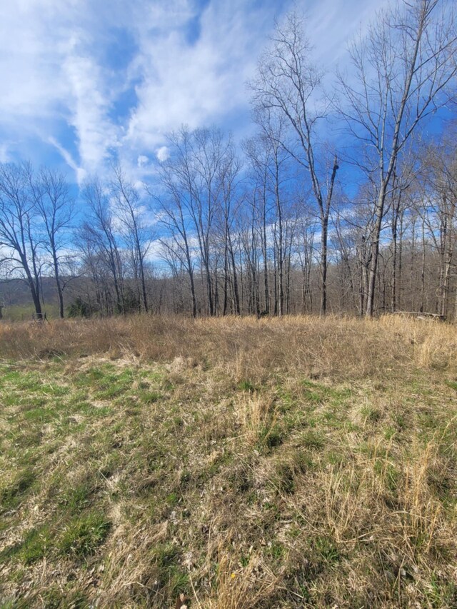 670 Munro Rd, Pulaski, TN 38478 - photo 7