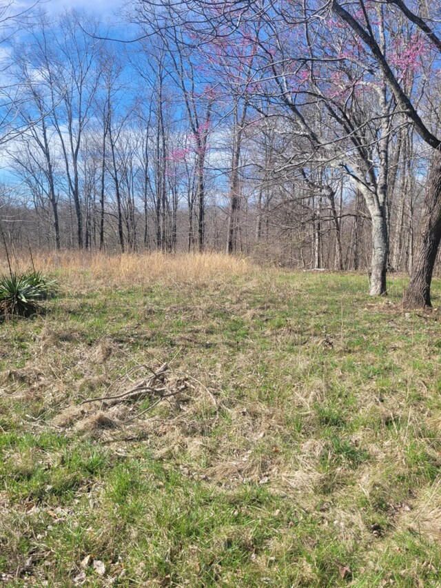 670 Munro Rd, Pulaski, TN 38478 - photo 5