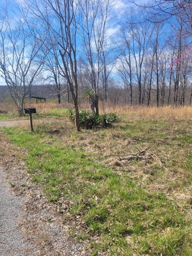 670 Munro Rd, Pulaski, TN 38478 - photo 2