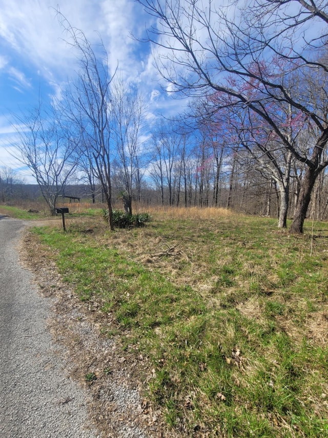 670 Munro Rd, Pulaski, TN 38478 - photo 4