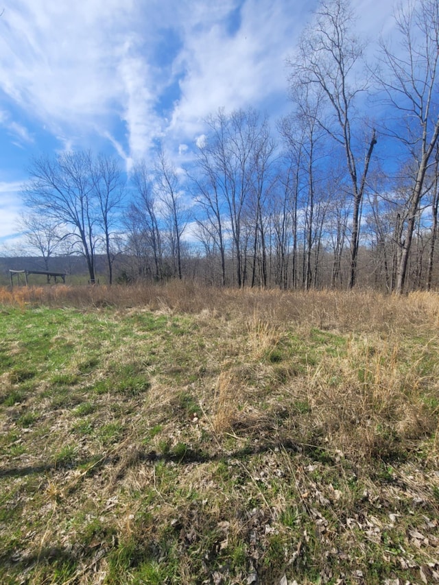 670 Munro Rd, Pulaski, TN 38478 - photo 8