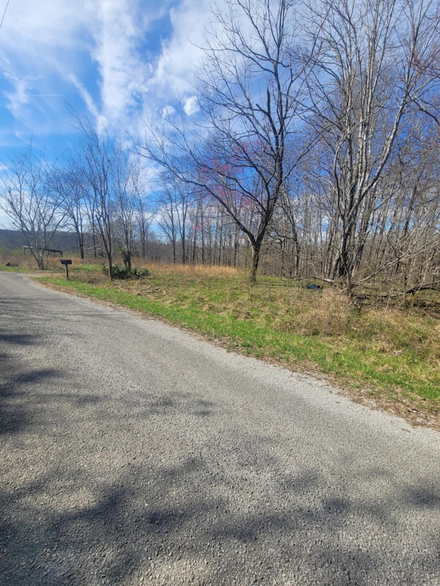 670 Munro Rd, Pulaski, TN 38478 - photo 6