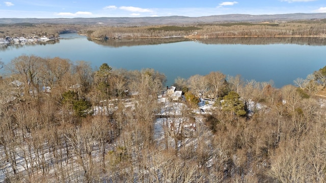 14319 Bluffview Dr, Birchwood, TN 37308 - aerial view of property and surrounding area featuring a large body of water