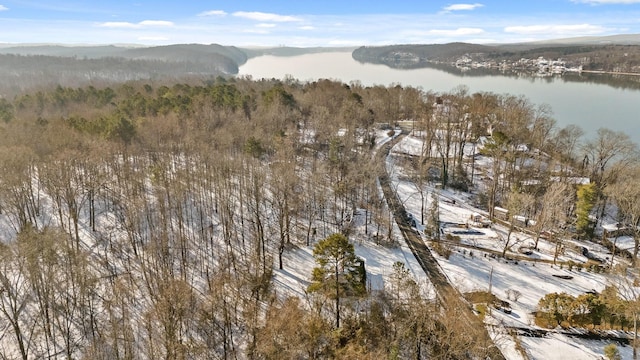 14319 Bluffview Dr, Birchwood, TN 37308 - view of mountain background with a nearby body of water and a heavily wooded area