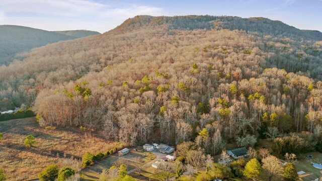 1158 Pryor Cove Rd, Jasper, TN 37347 - photo 31