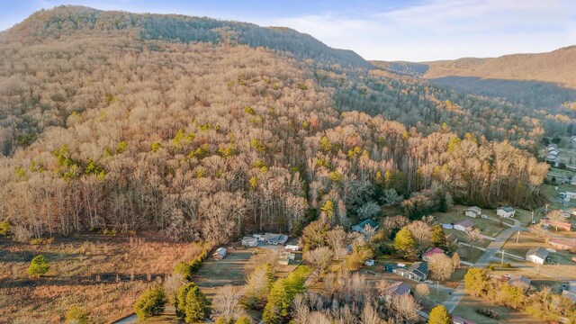 1158 Pryor Cove Rd, Jasper, TN 37347 - photo 30