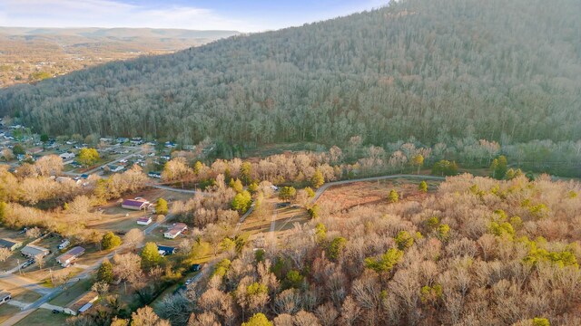 1158 Pryor Cove Rd, Jasper, TN 37347 - photo 32