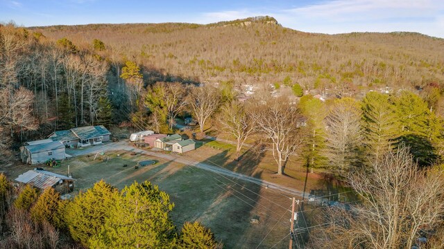 1158 Pryor Cove Rd, Jasper, TN 37347 - photo 29